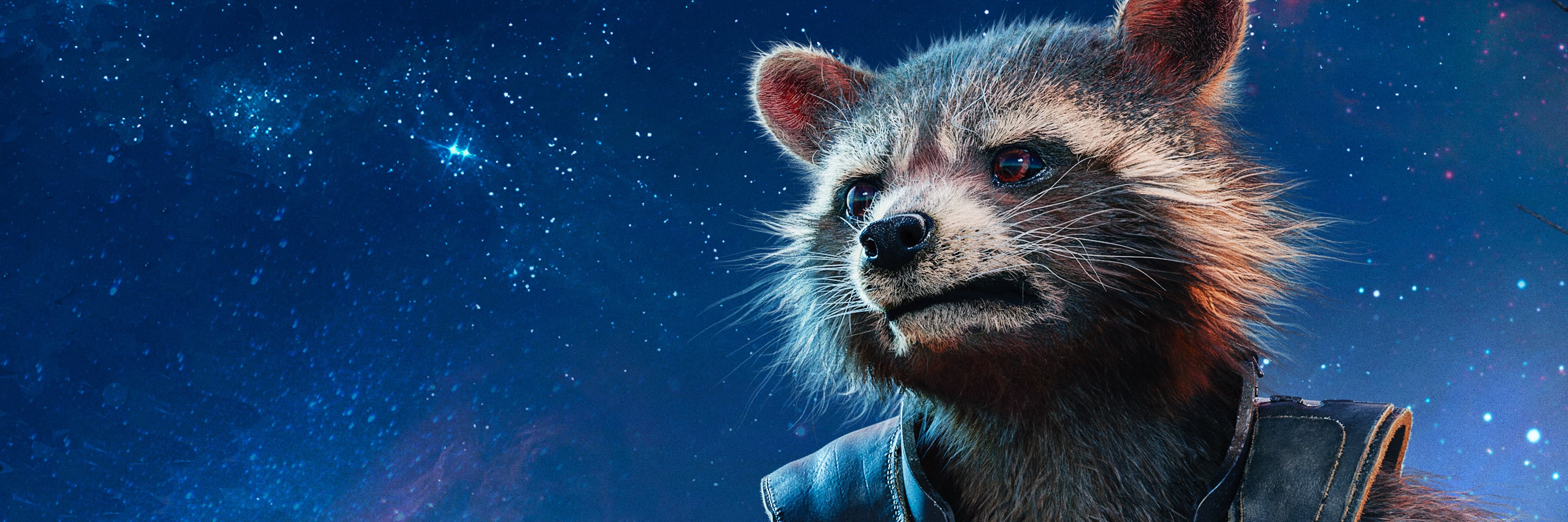 Rocket Raccoon