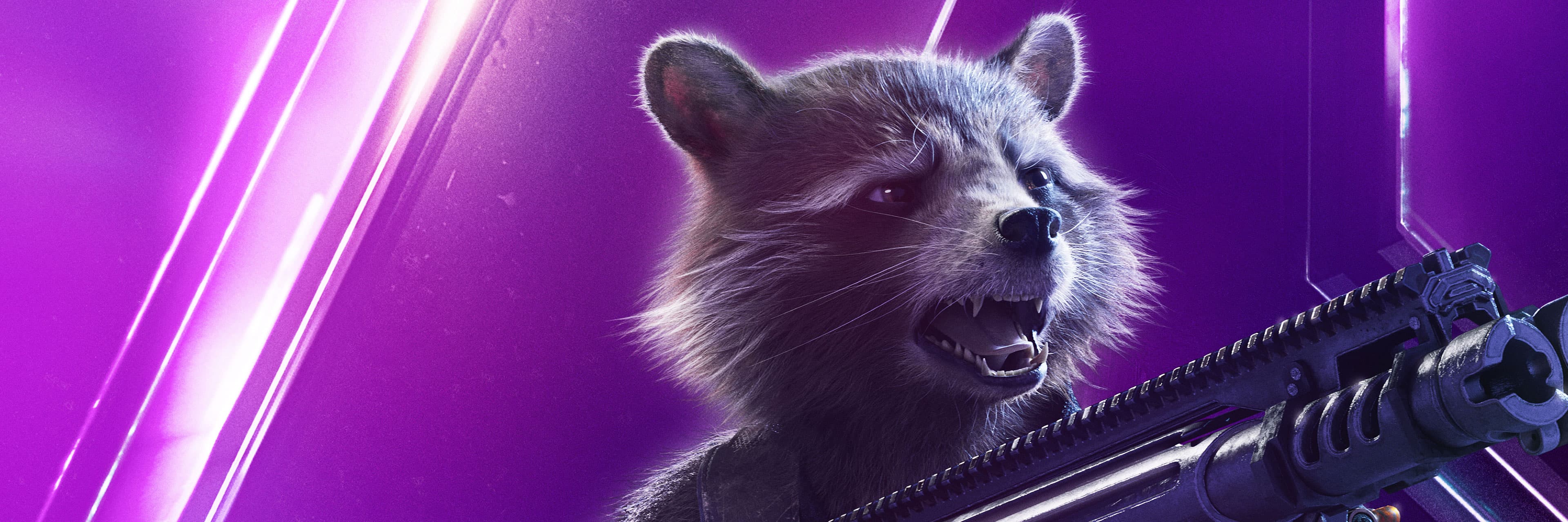 Rocket Raccoon