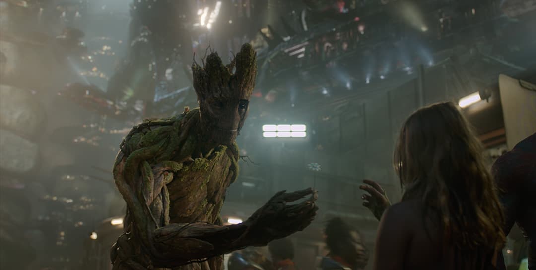 Groot