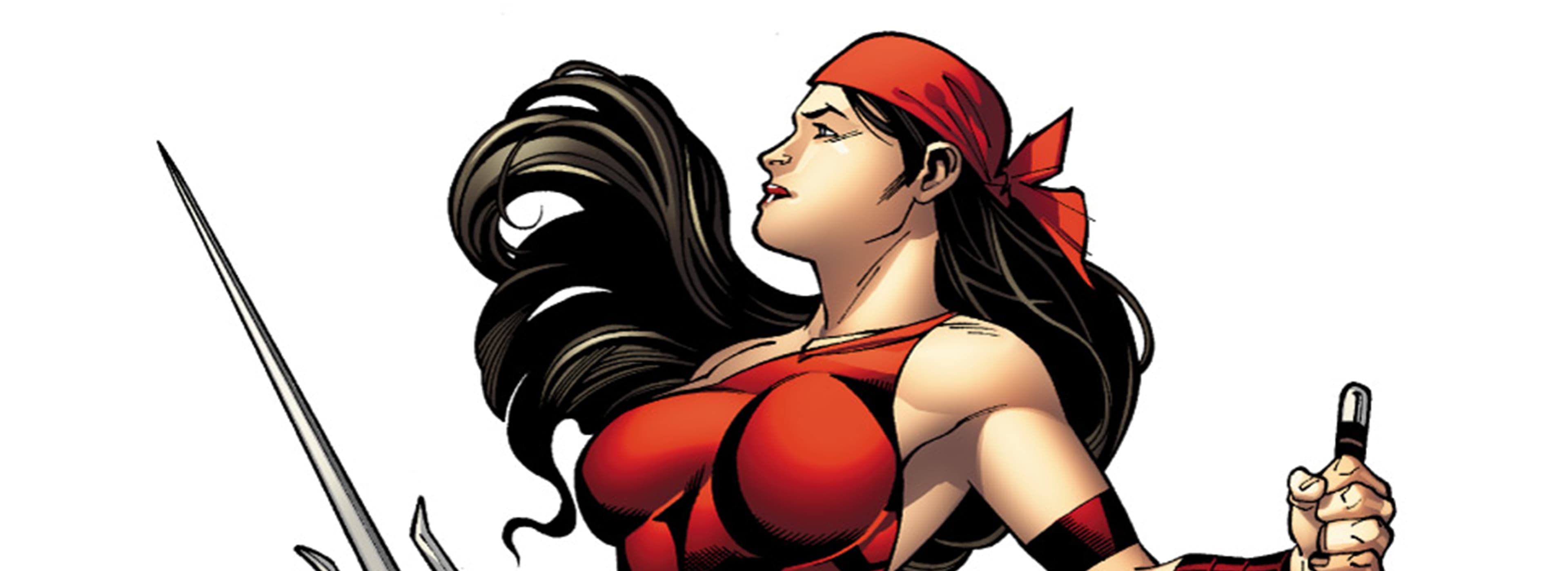 Elektra In Comics Full Report Page Divider