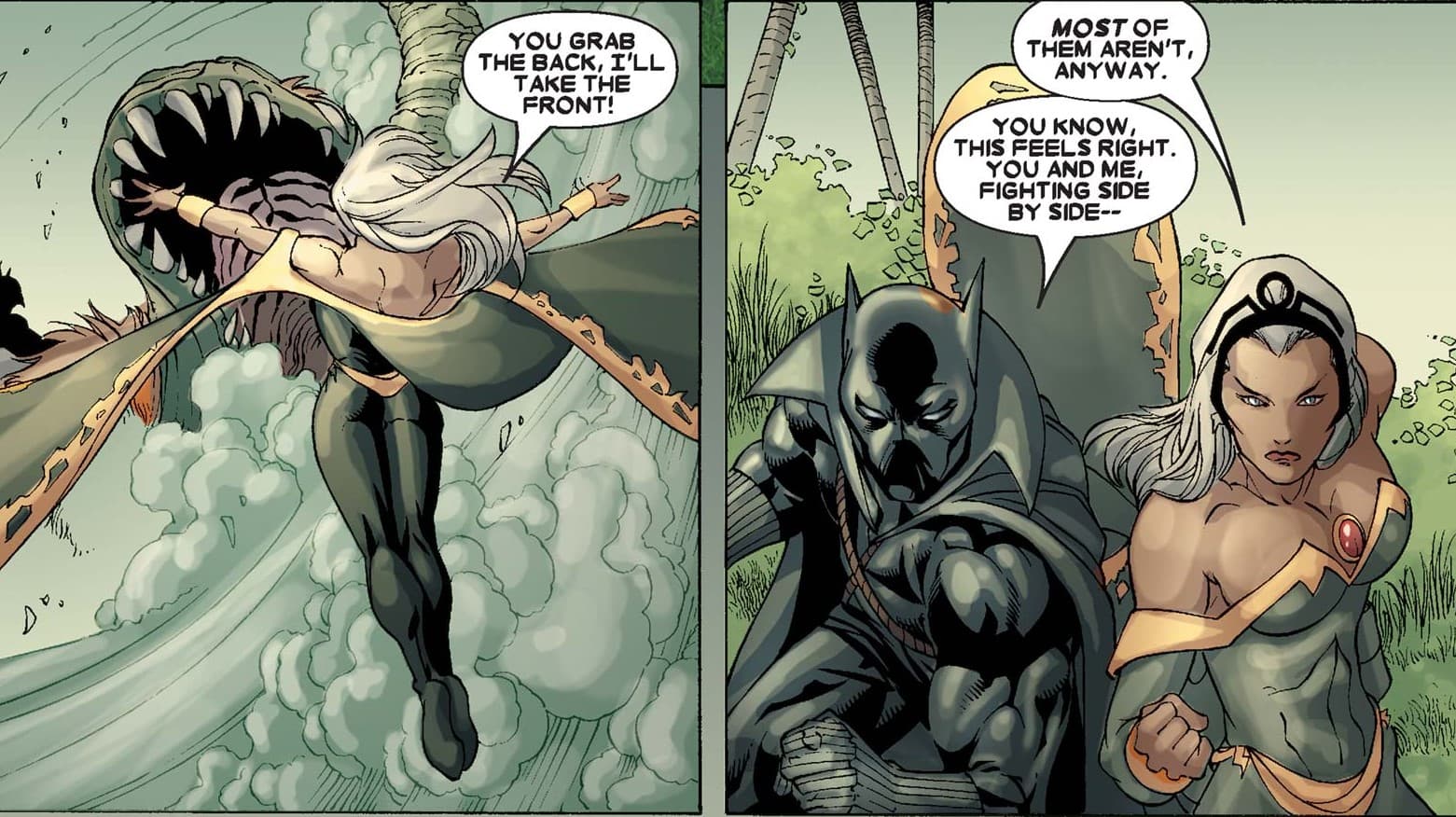 Black Panther and Storm