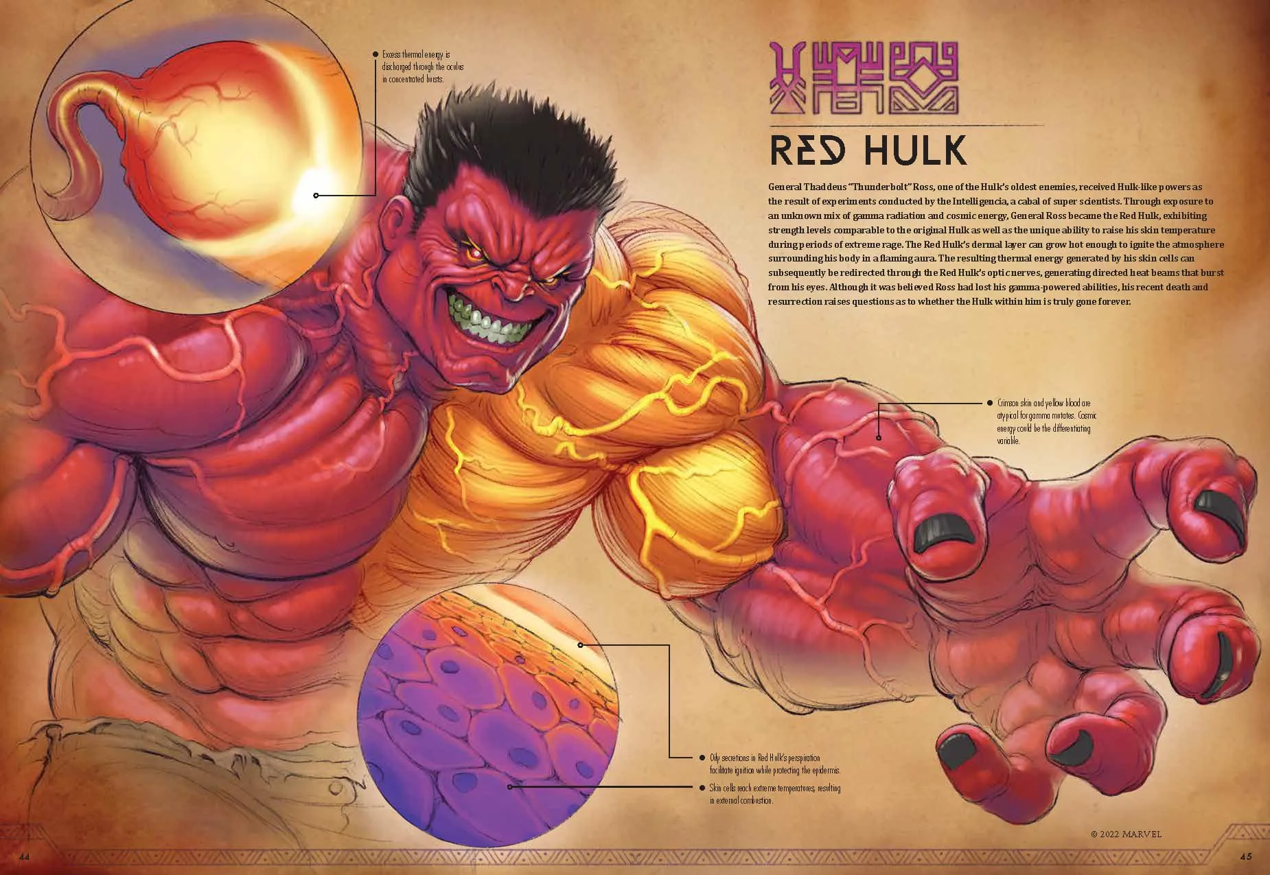See Super Heroes in a New Light by Dissecting Their Physiology