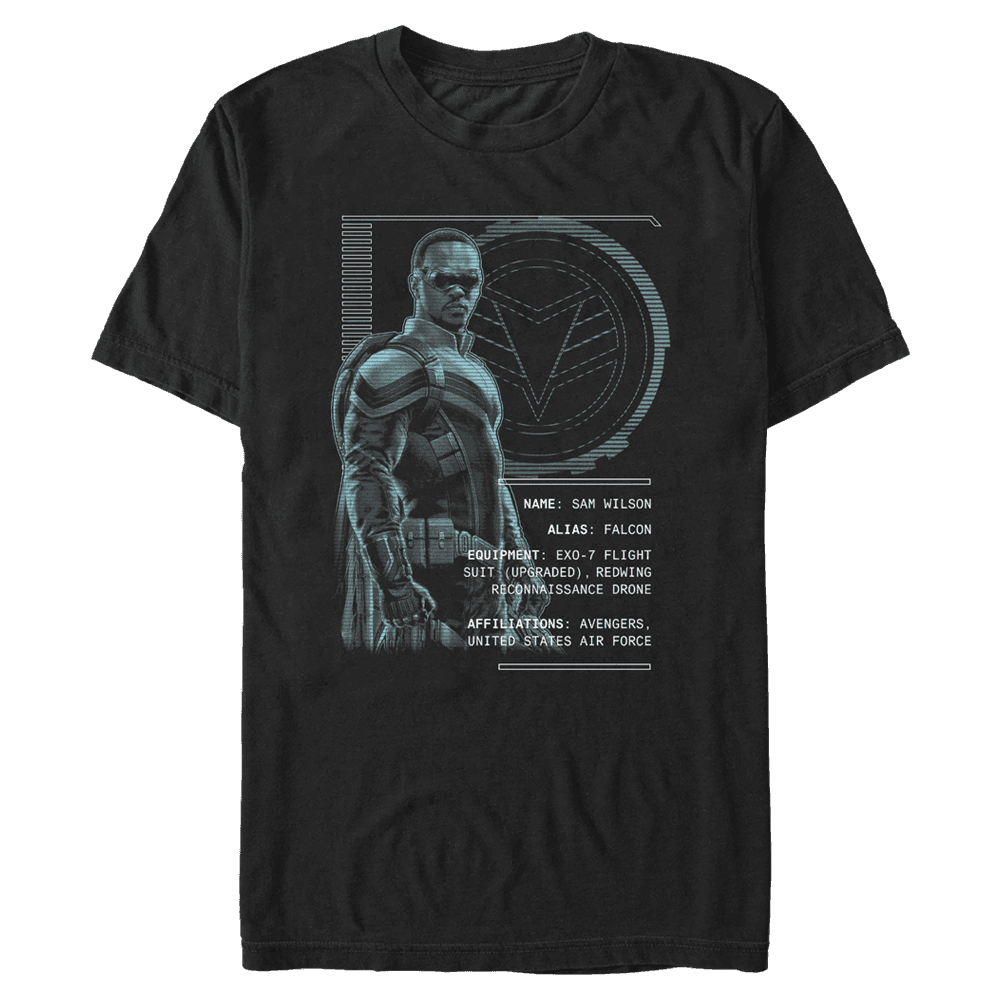 <a href=https://www.hottopic.com/product/marvel-the-falcon-and-the-winter-soldier-alias-falcon-t-shirt/15490671.html>Alias: Falcon T-Shirt</a> / Hot Topic