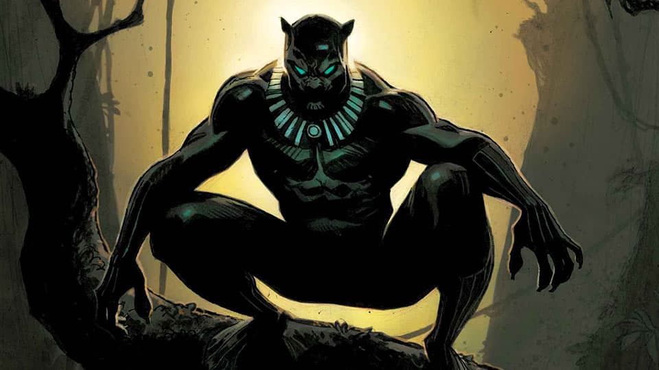 Image for Black Panther: Panthers Past