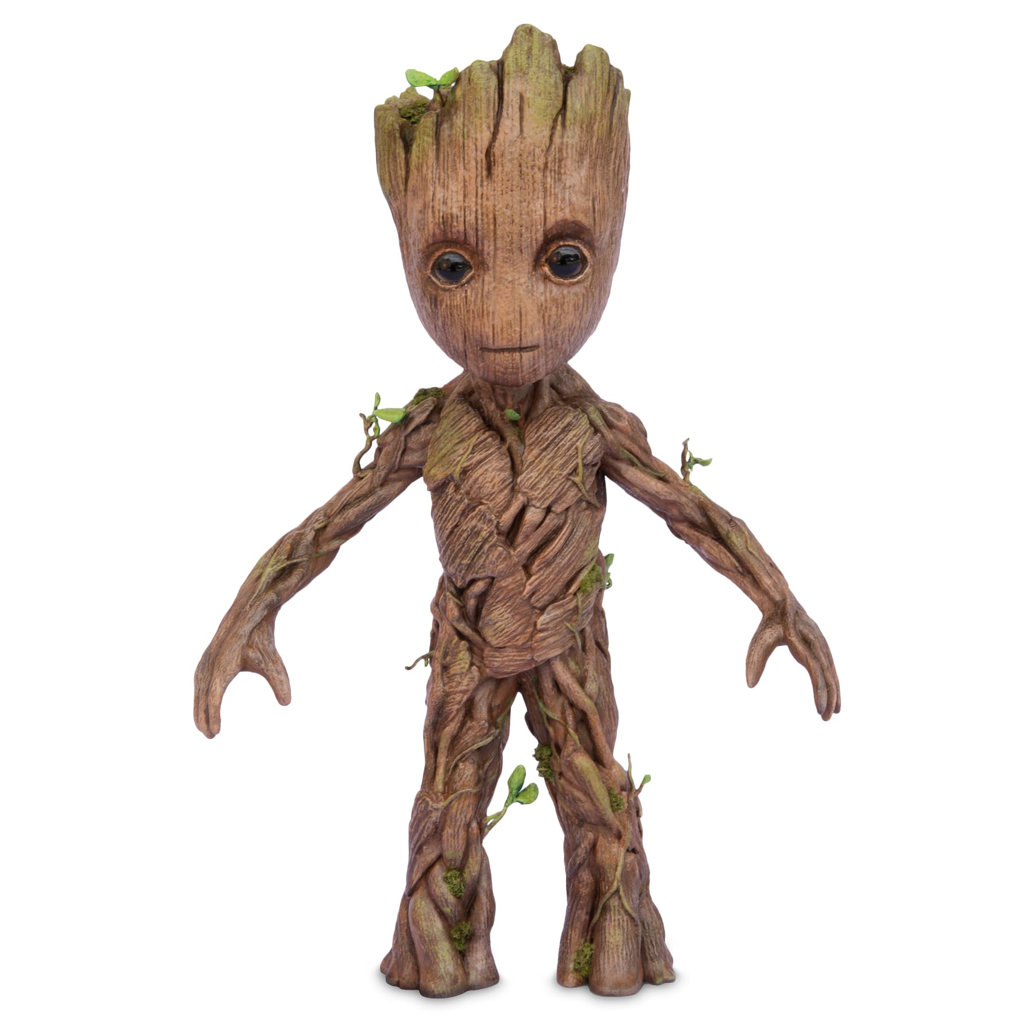 Groot