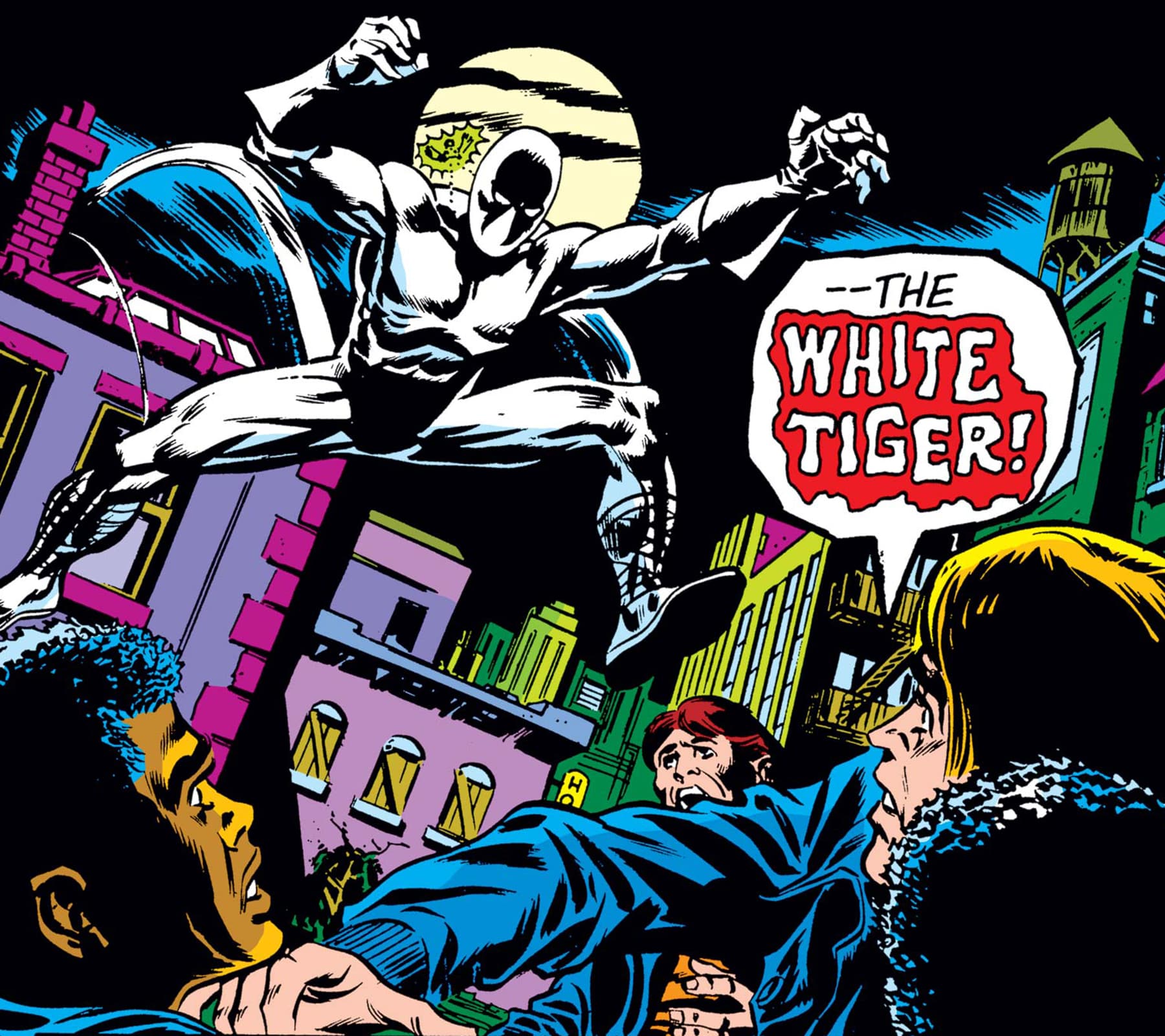 PETER PARKER, THE SPECTACULAR SPIDER-MAN (1976) #25 by Bill Mantlo and Jim Mooney