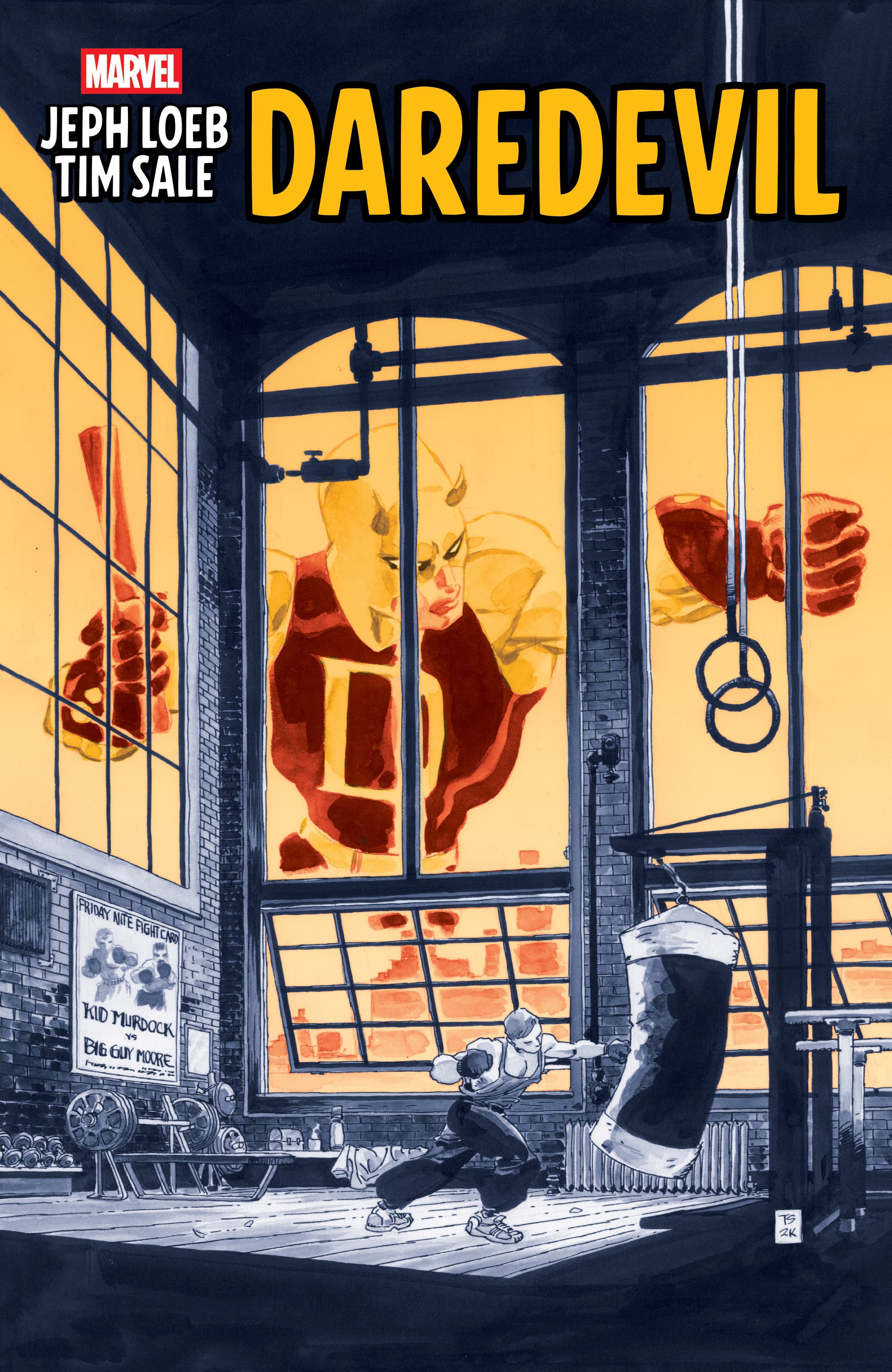 JEPH LOEB & TIM SALE: DAREDEVIL
