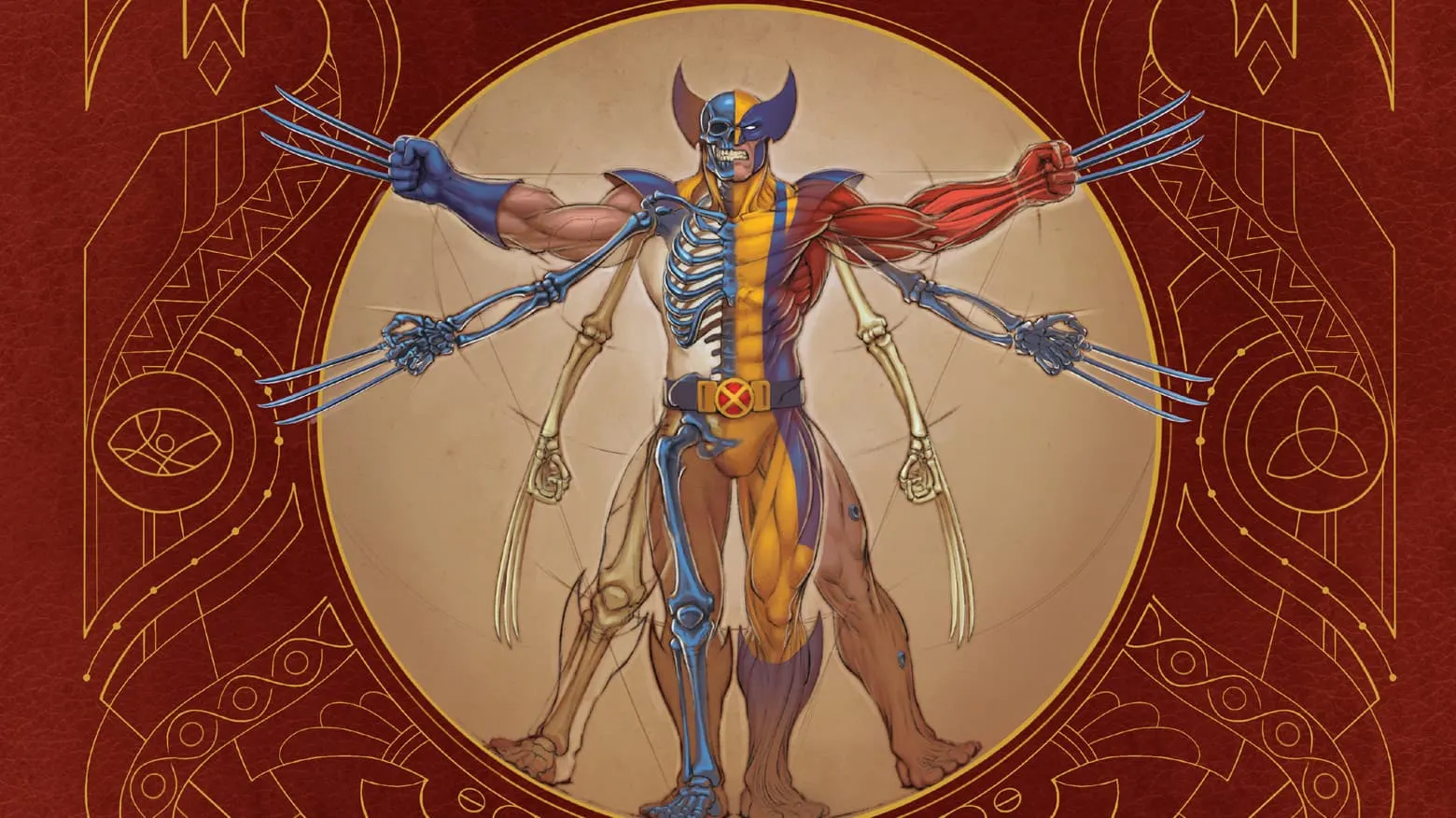 See Super Heroes in a New Light by Dissecting Their Physiology
