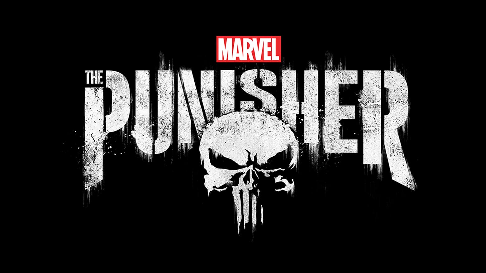 Marvel's The Punisher