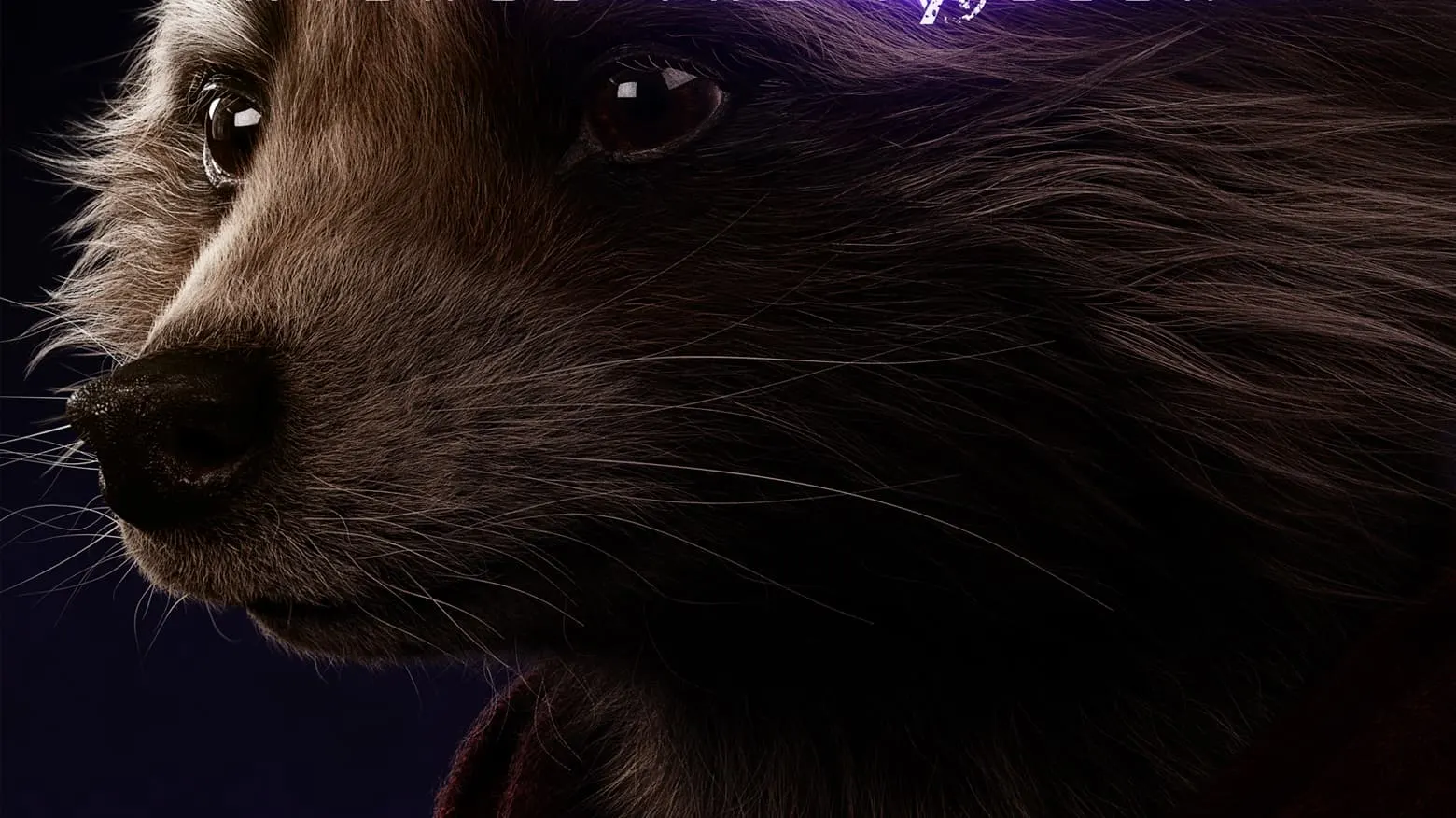 End Game Roket 'Avengers: Endgame' Refresher: Rocket | Marvel