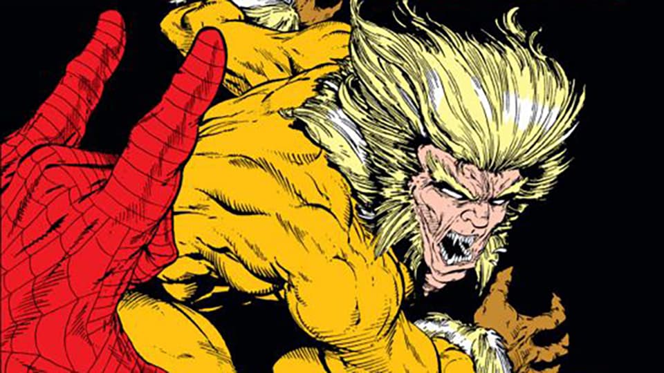 Image for The History of Spider-Man: 1989