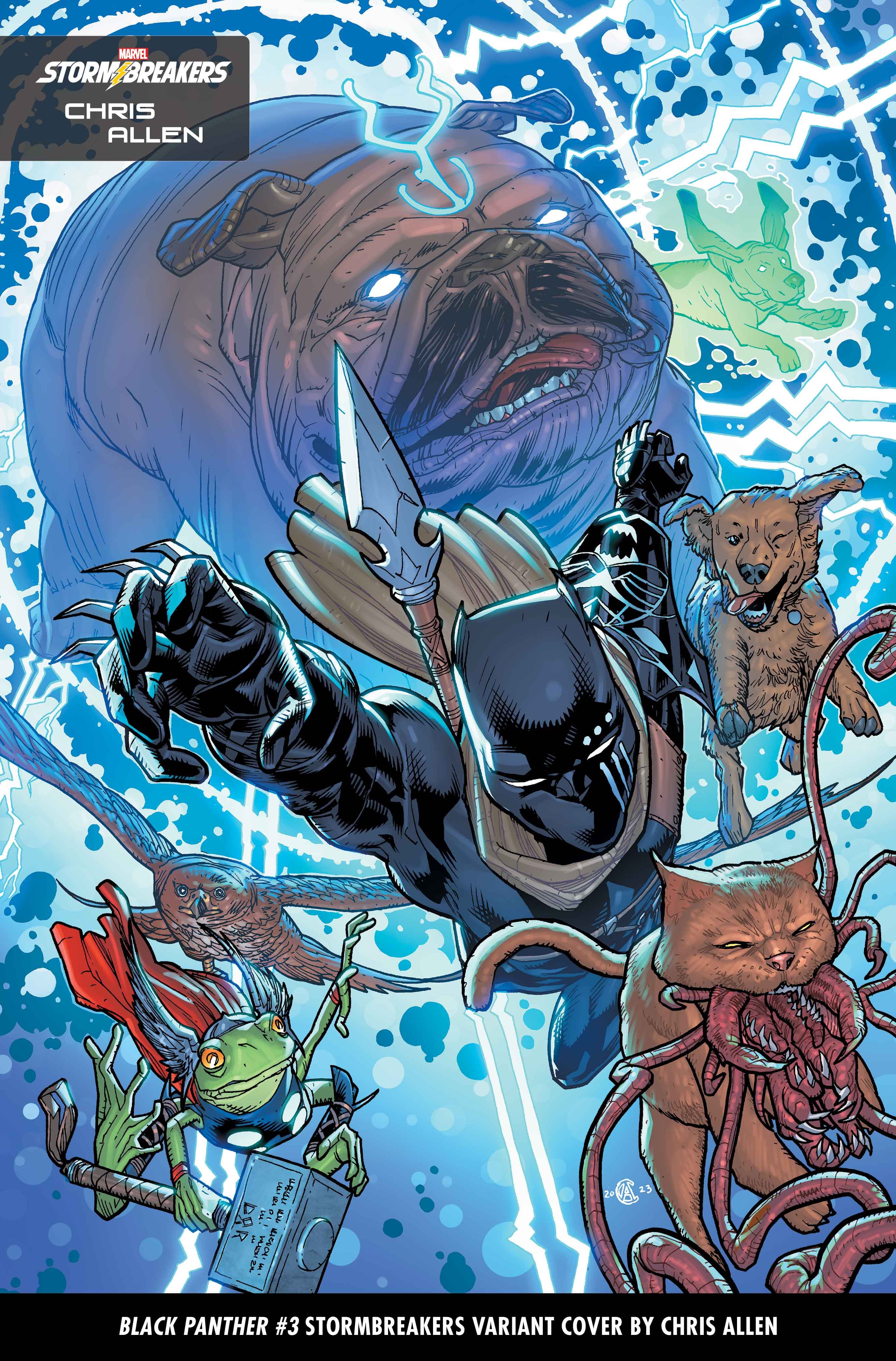 BLACK PANTHER #3 Stormbreakers Variant Cover by Chris Allen