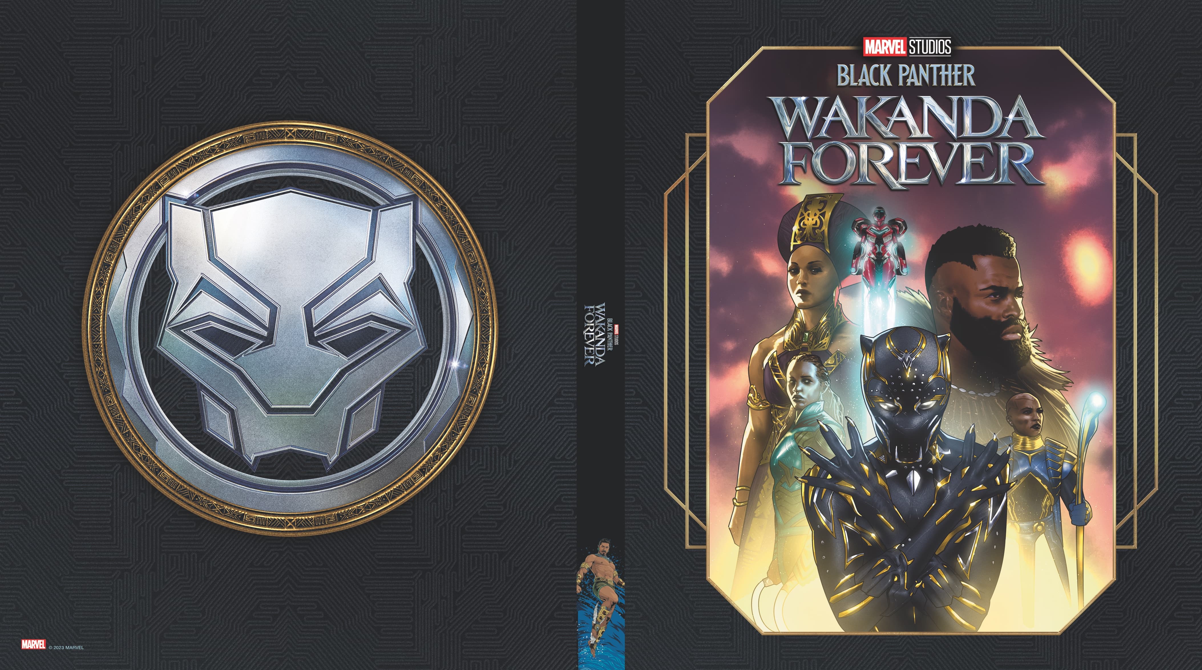 Black Panther: Wakanda Forver