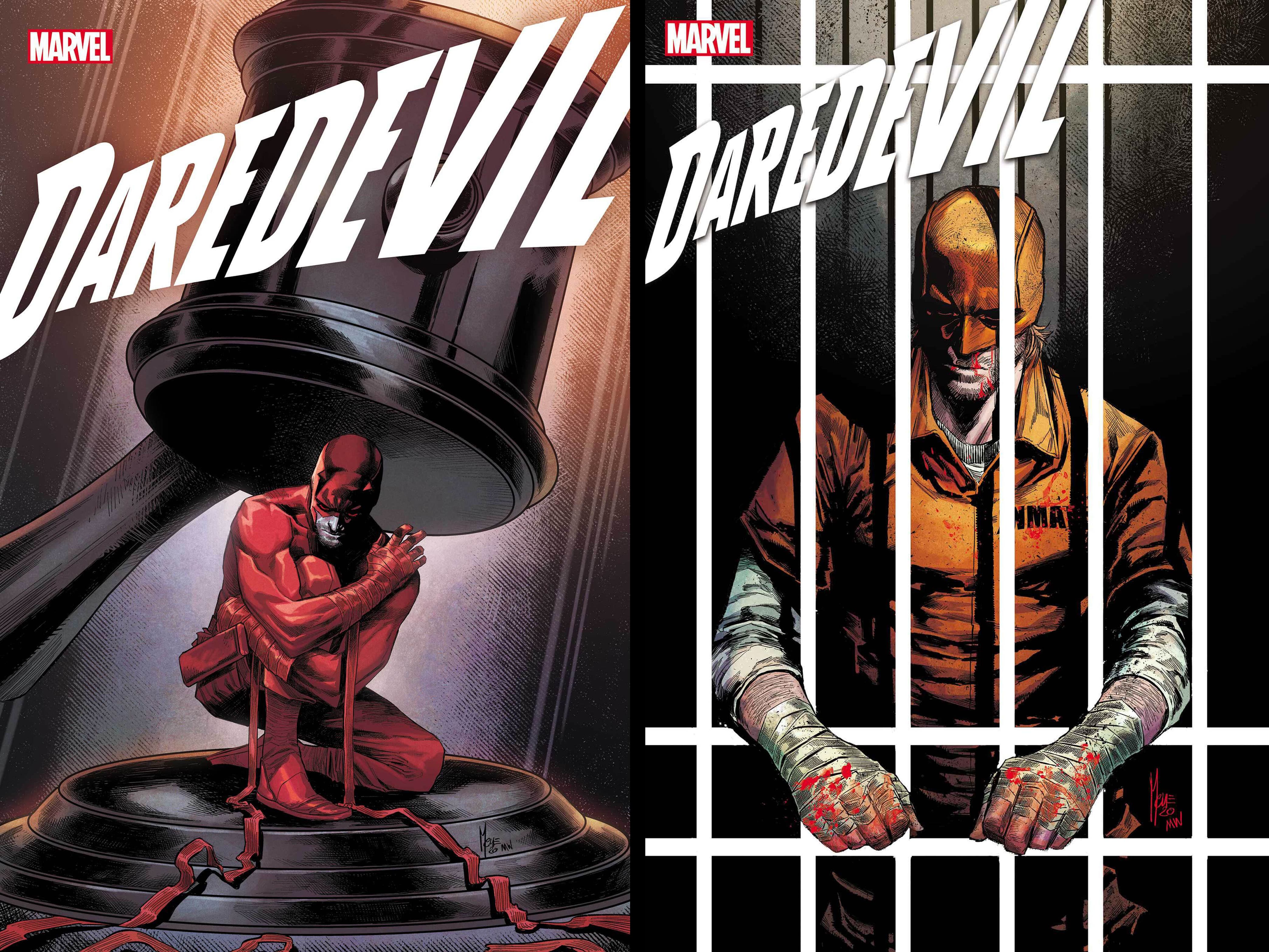 Daredevil #24 and #25