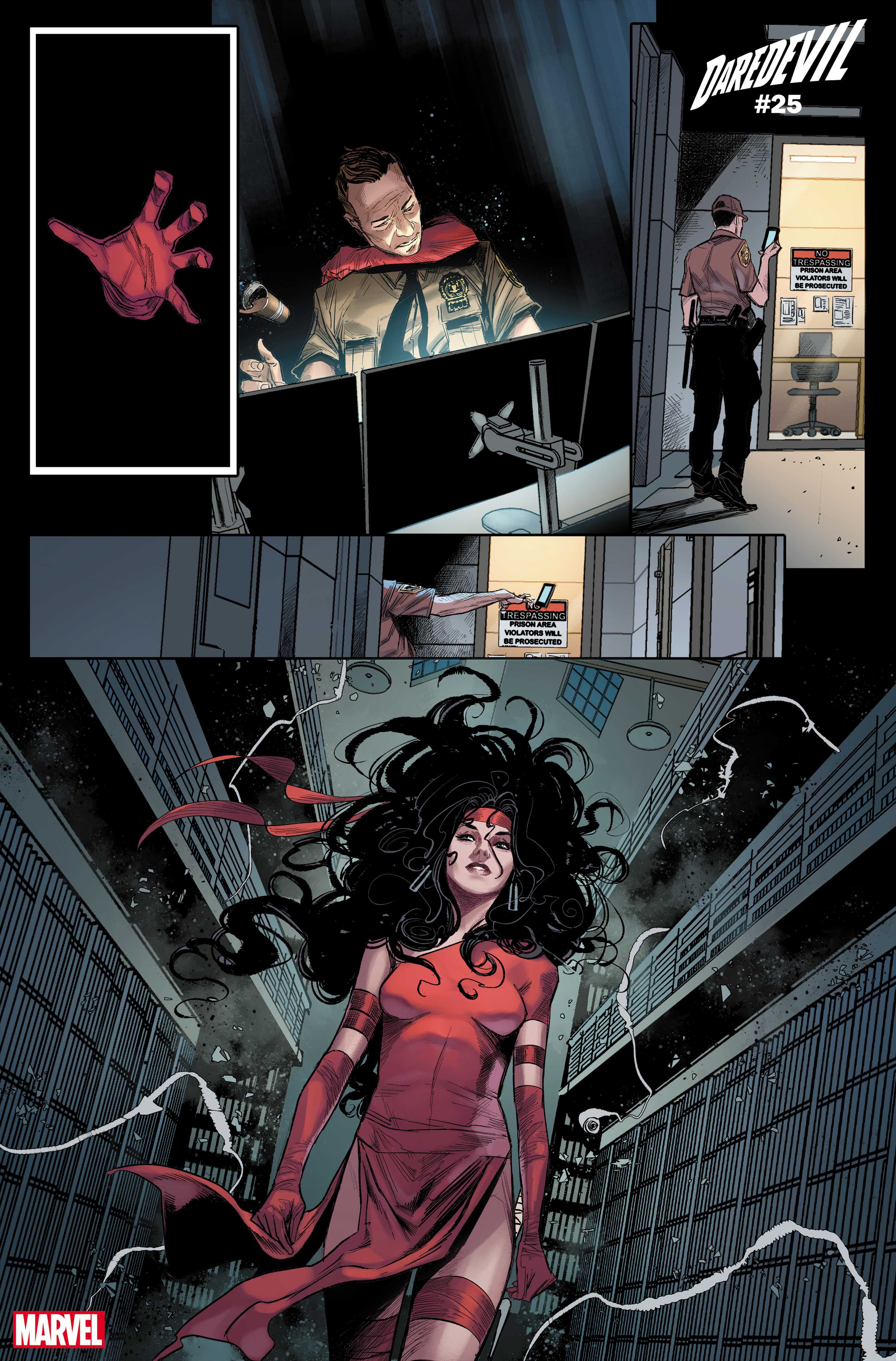 DAREDEVIL (2019) #25