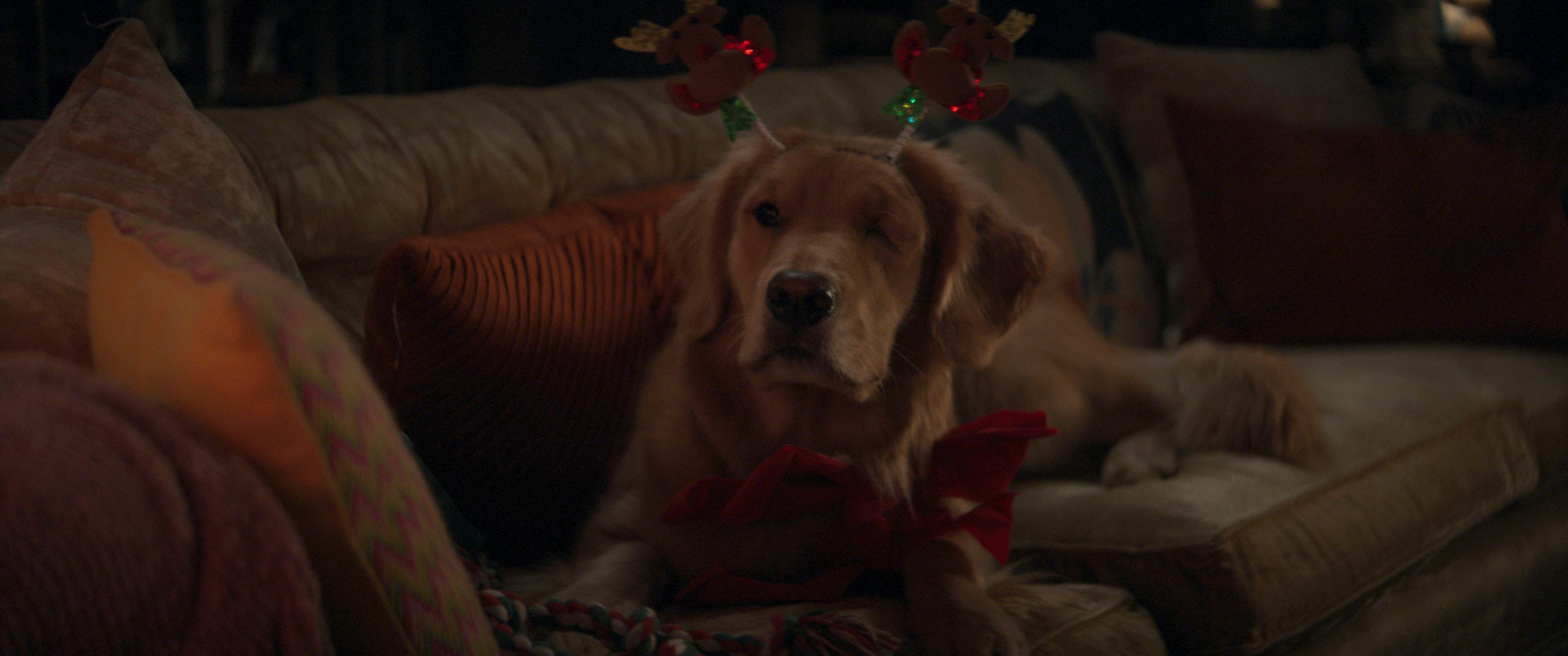 'Hawkeye': Episode 4 Gallery Images