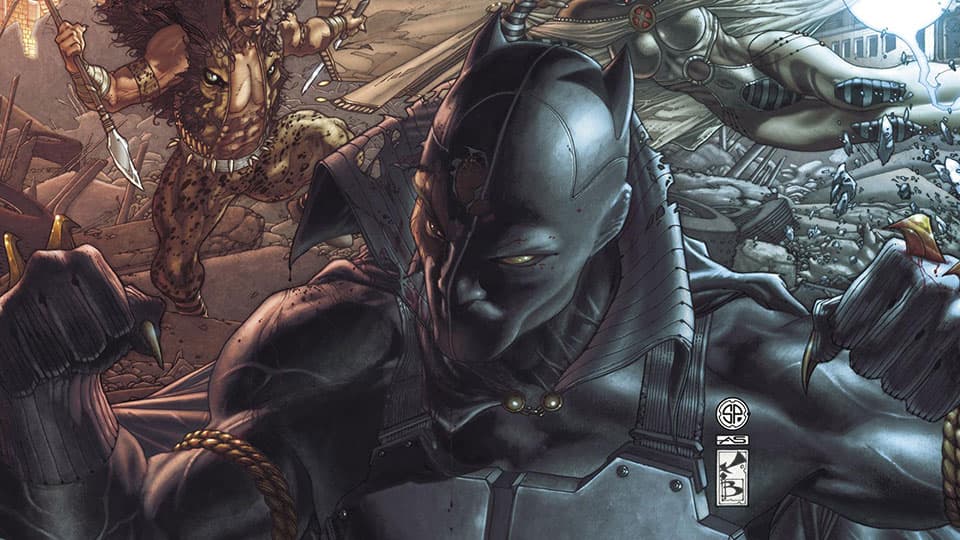 Image for Follow the History of the Black Panther Pt. 35