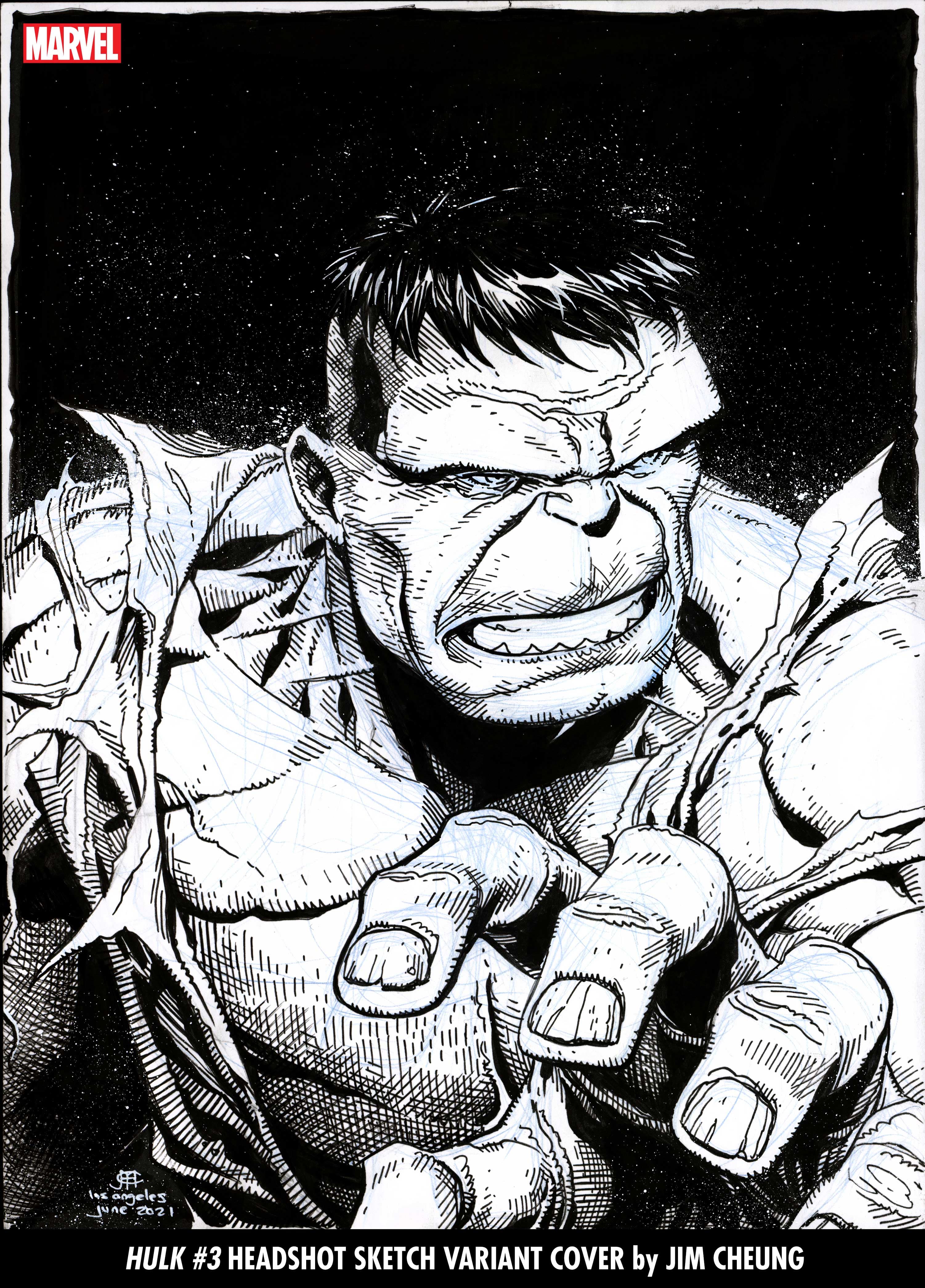 HULK #3 HEADSHOT SKETCH VARIANT COVER by JIM CHEUNG