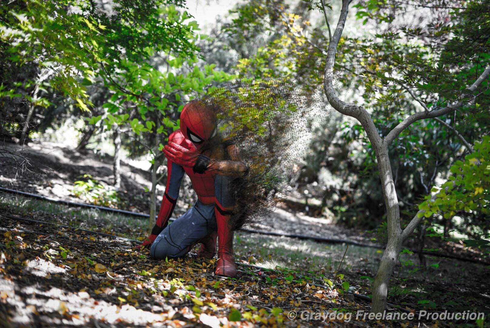 Jake Ross as Spider-Man 