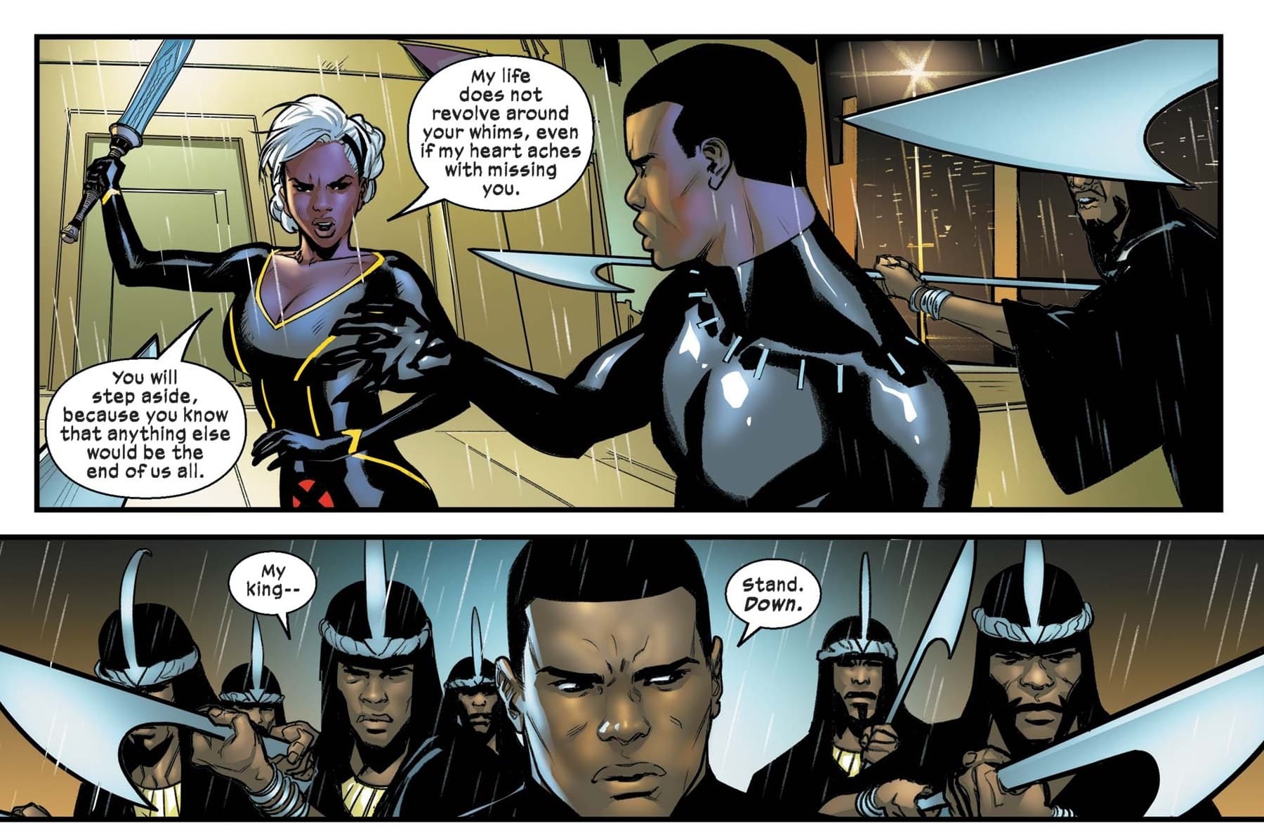 Black Panther/Storm