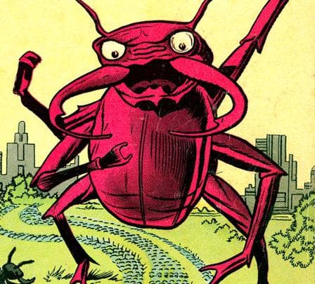 Scarlet Beetle