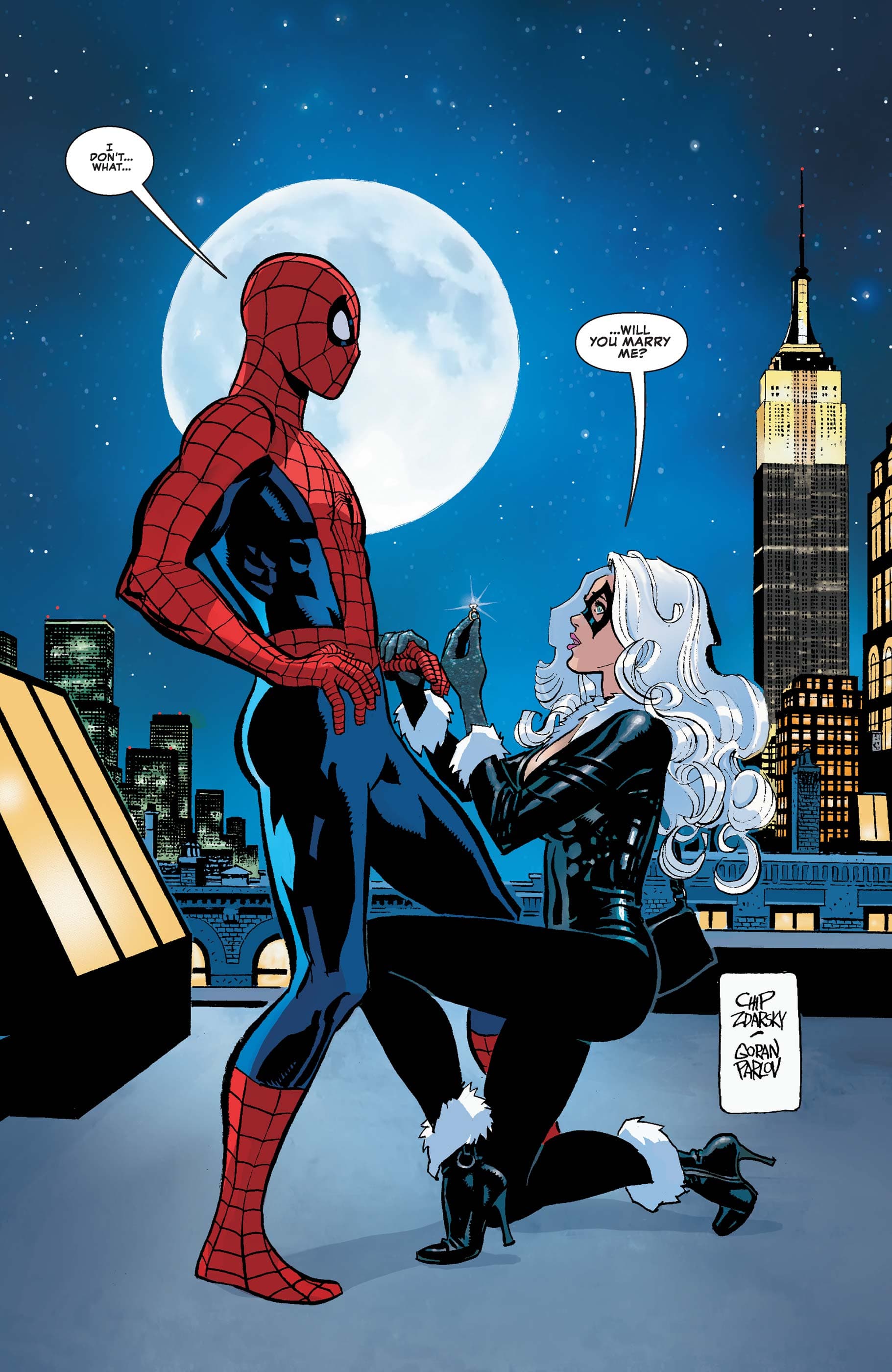 Spider-Man/Black Cat