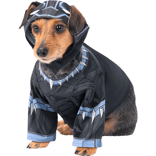 Black Panther dog costume / shop it <a href=”https://www.partycity.com/black-panther-dog-costume-P860979.html”>here</a>