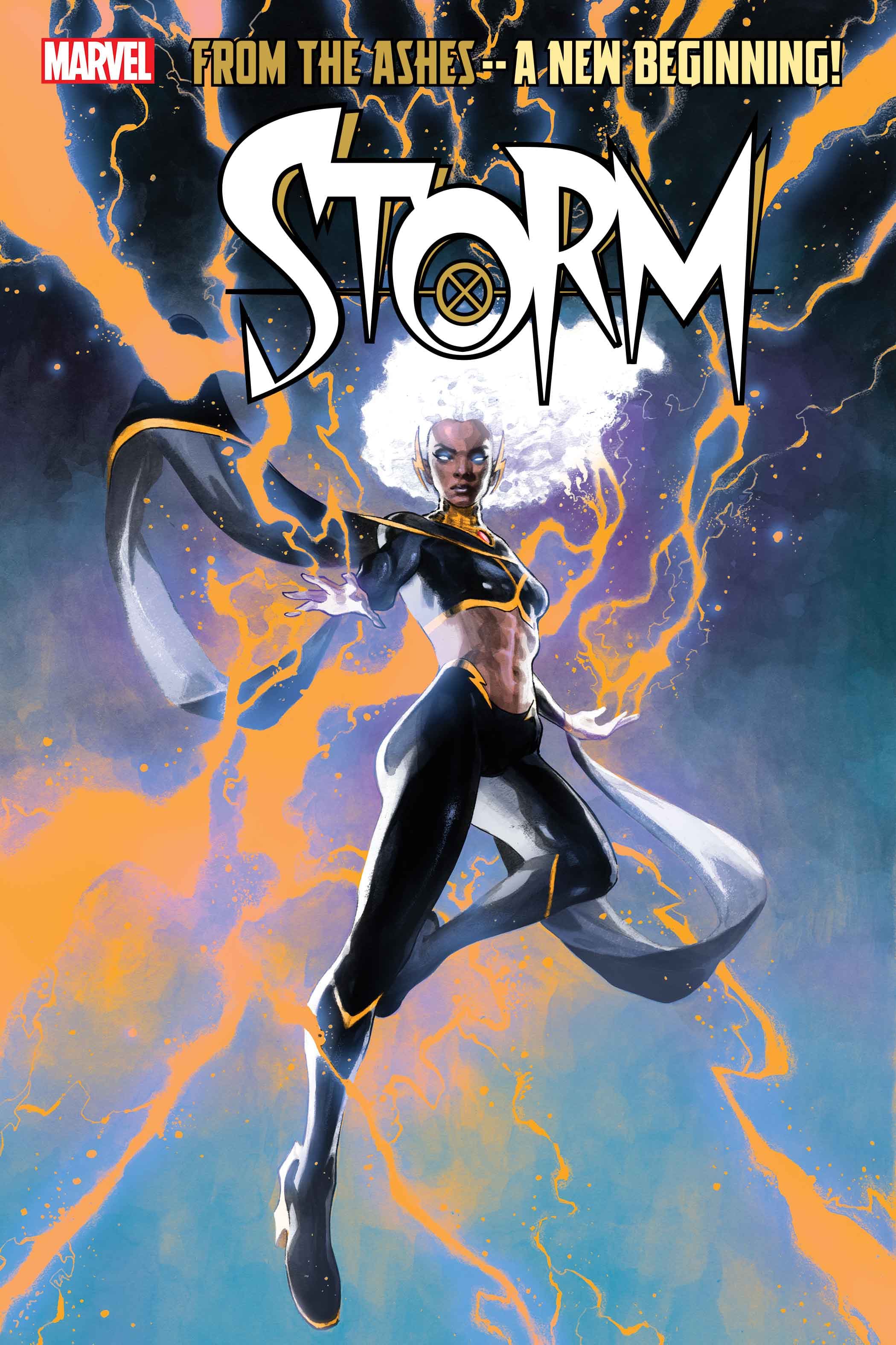 Storm Comic Artist