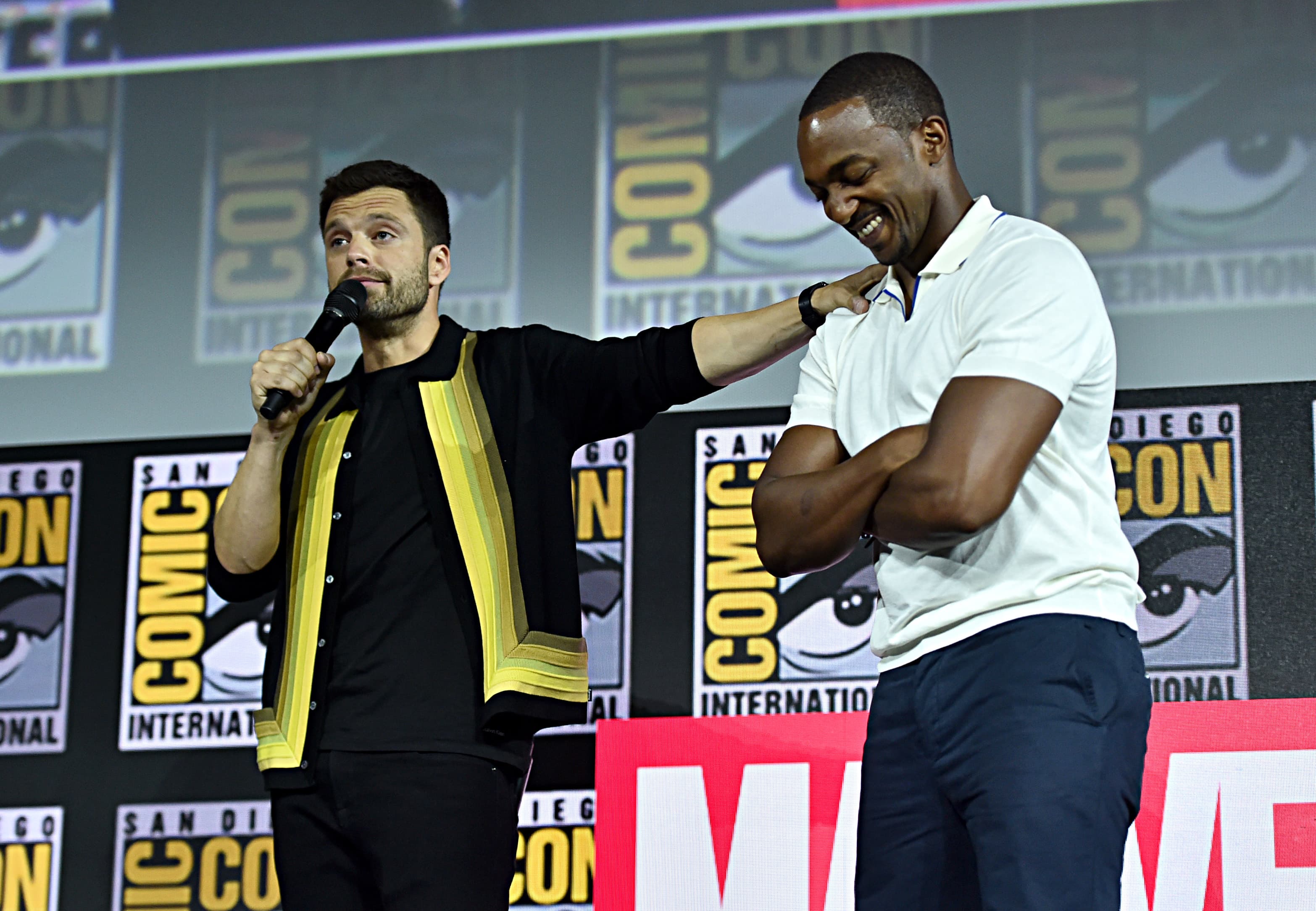 Sebastian Stan and Anthony Mackie