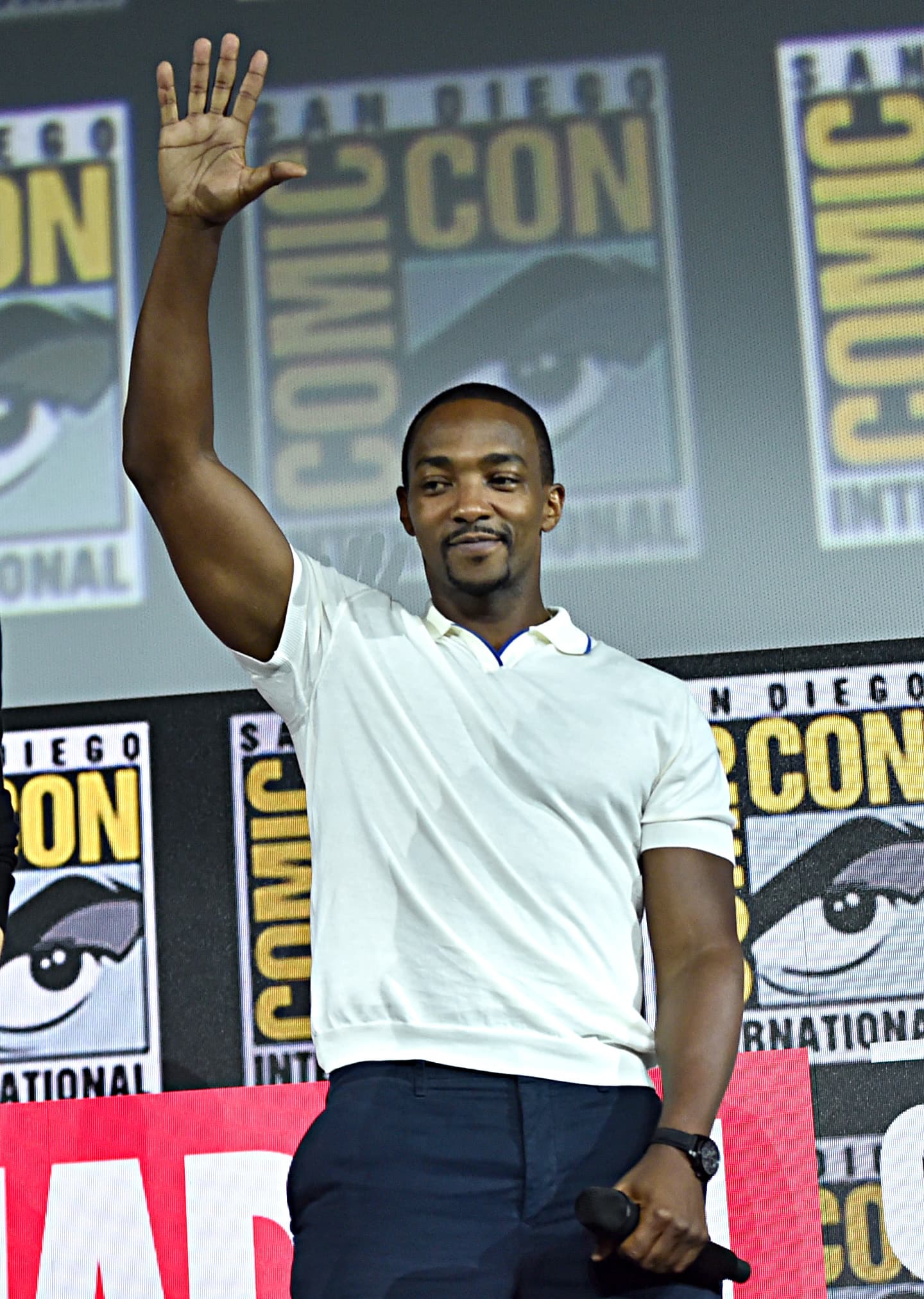 Anthony Mackie