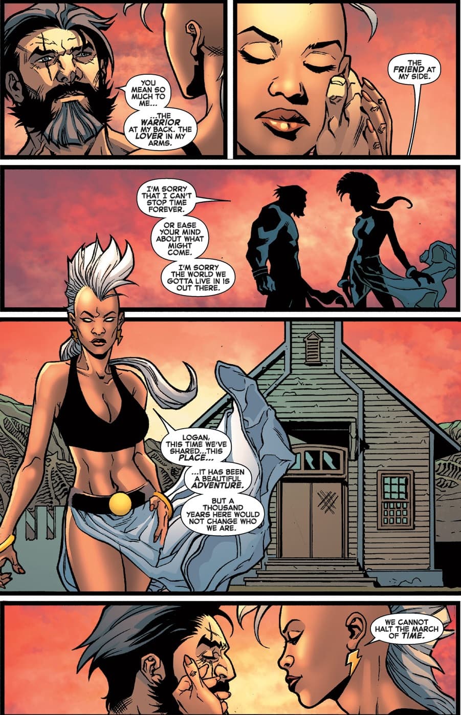 Storm/Wolverine