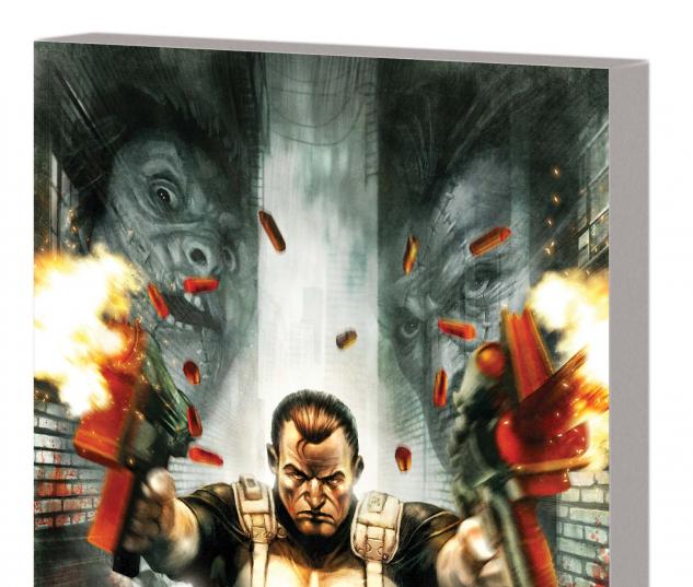 Punisher: In The Blood TPB