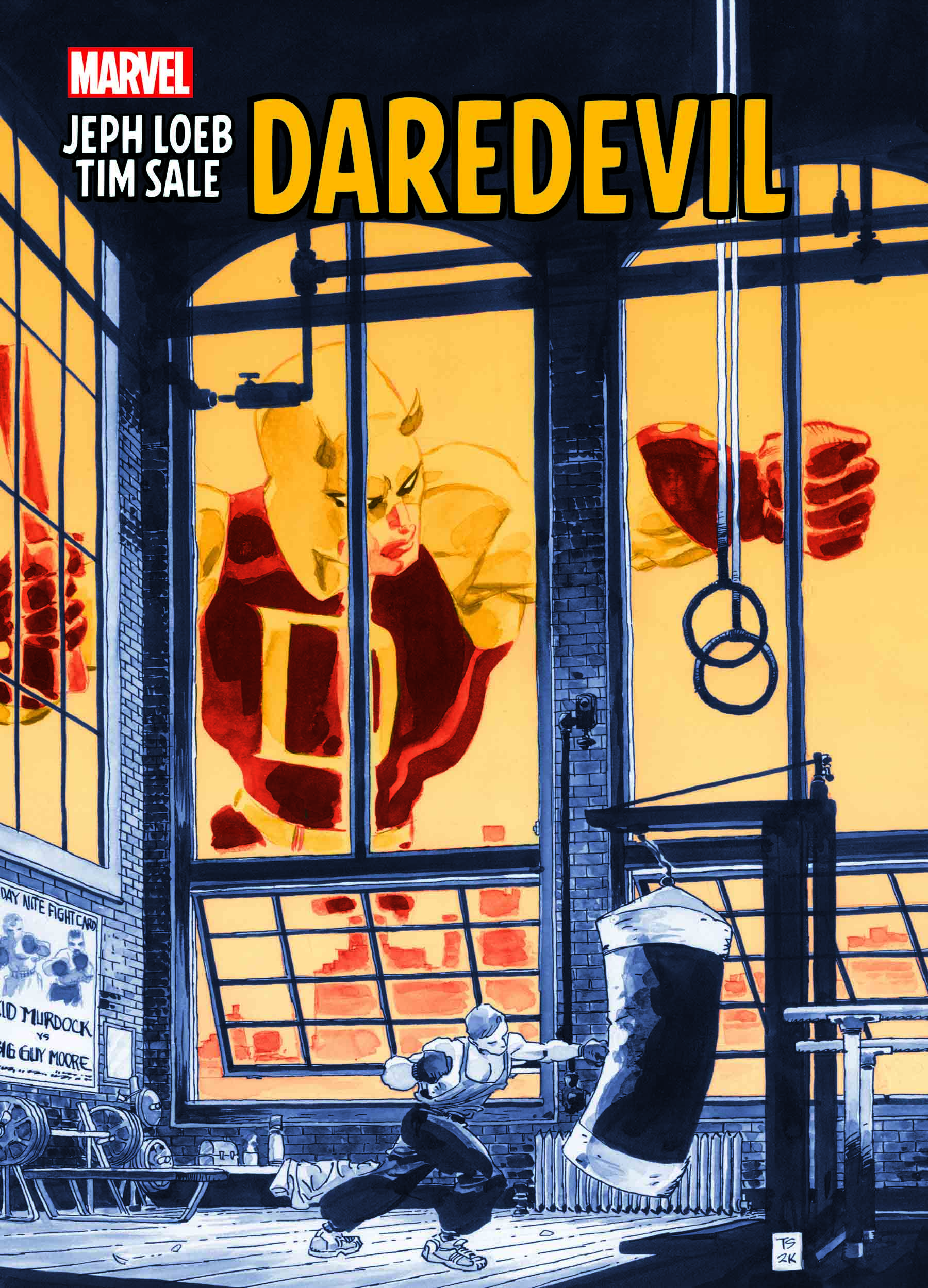 JEPH LOEB & TIM SALE: DAREDEVIL (Trade Paperback)