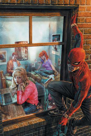 The Amazing Spider-Man (2025) #17 (Variant)