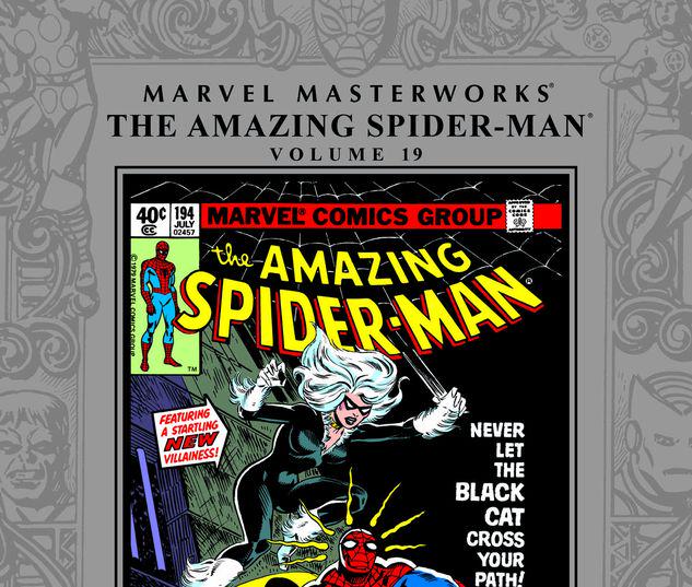 MARVEL MASTERWORKS: THE AMAZING SPIDER-MAN VOL. 19 HC #19