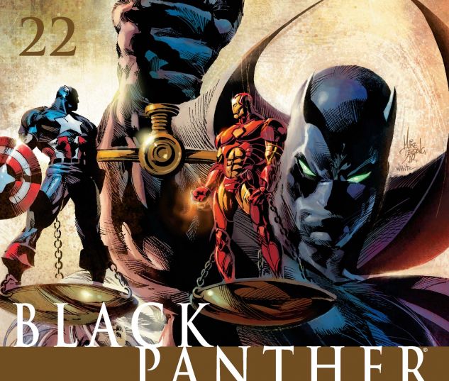 BLACK PANTHER (2005) #22 Cover