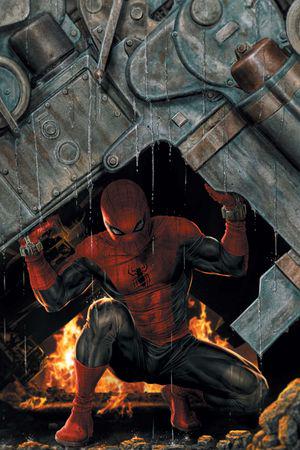The Amazing Spider-Man (2025) #14 (Variant)