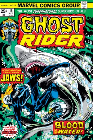 Ghost Rider (1973) #16 | Comic Issues | Marvel