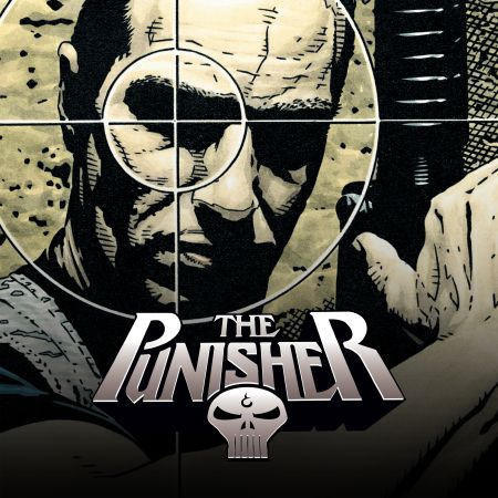 Punisher (2001 - 2003)