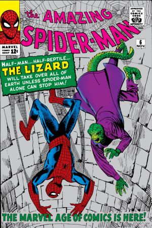 The Amazing Spider-Man (1963) #6