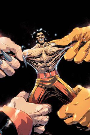 Wolverine #48  (Variant)
