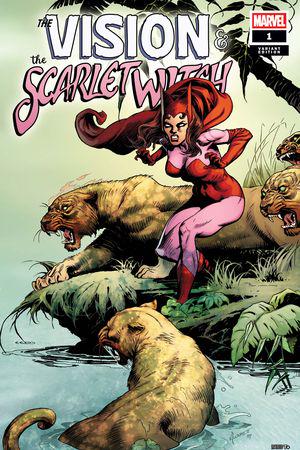 The Vision & the Scarlet Witch (2025) #1 (Variant)