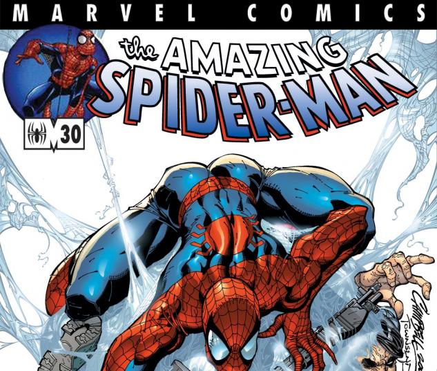 Amazing Spider-Man (1999) #30 Cover