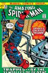 Amazing Spider-Man (1963) #107