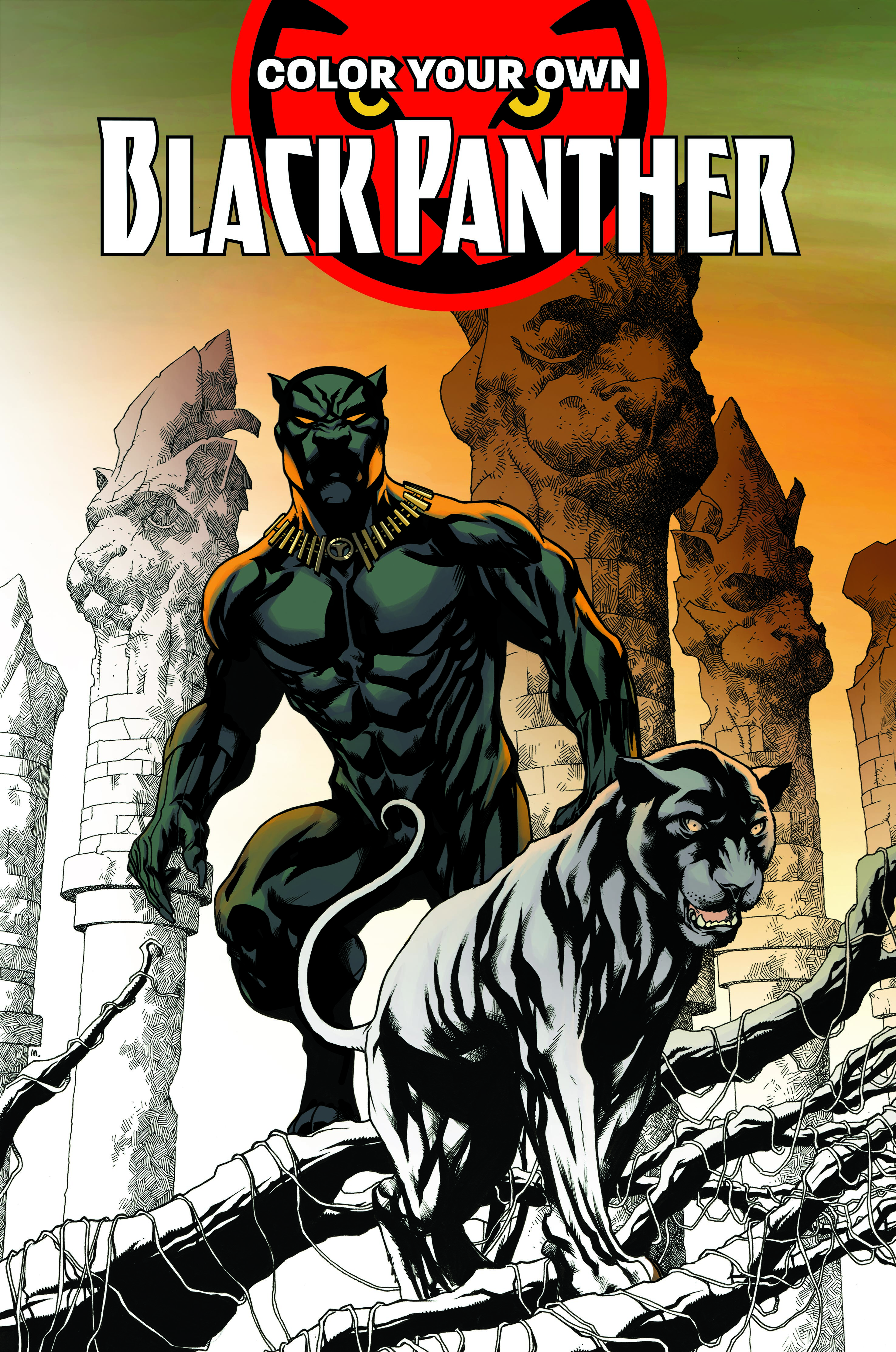 Color Your Own Black Panther (Trade Paperback)