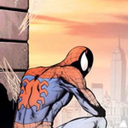 Spider-Man: Swing Shift Director's Cut (2008)