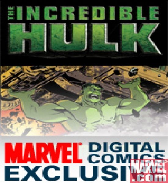 Incredible Hulk: The Fury Files (2008) #1