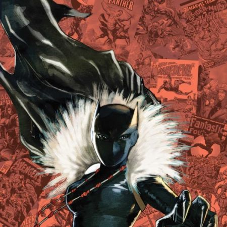 Klaws of the Panther (2010) #1 (VARIANT)