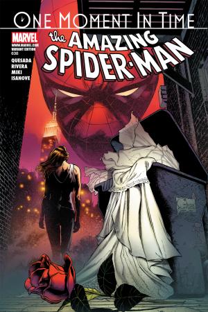 Amazing Spider-Man #638  (VARIANT)