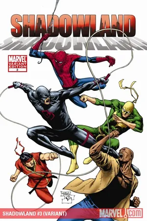 Shadowland (2010) #3 (VARIANT)